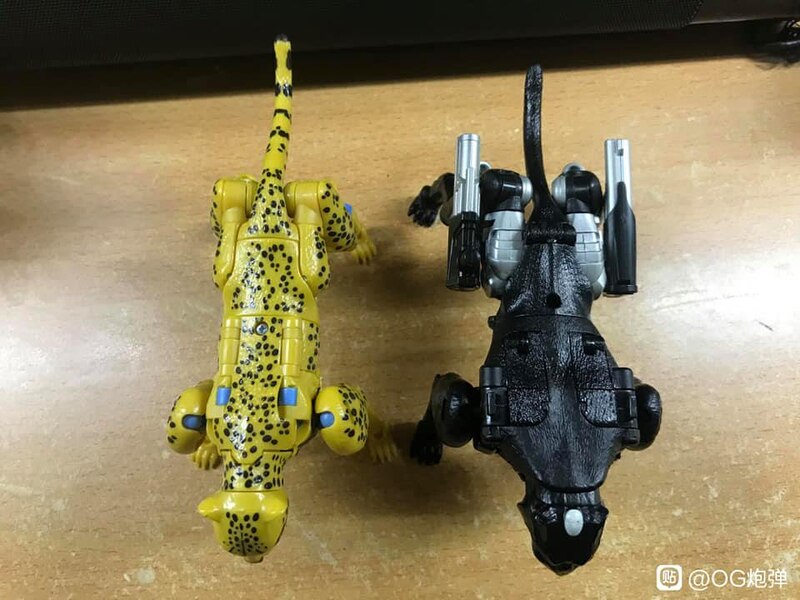 MORE Transformers Agent Ravage Images Cheetor Compared  (39 of 67)